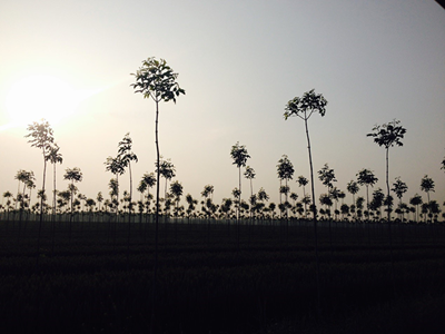 過(guò)癮！ edge拍照功能太強(qiáng)大了