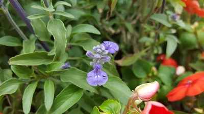 前門門店體驗活動攝影環(huán)節(jié)拍攝作品