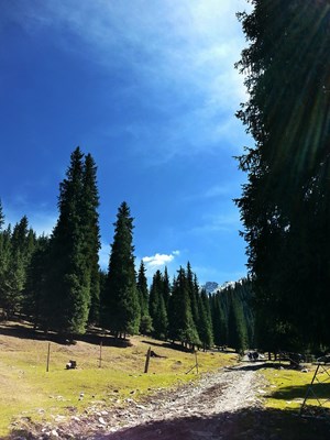 江布拉克之旅，Galaxy S5之作