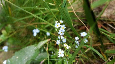 【戀之風景】堯山