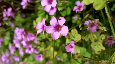 【戀之風景】路過