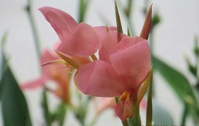 第一次發(fā)帖