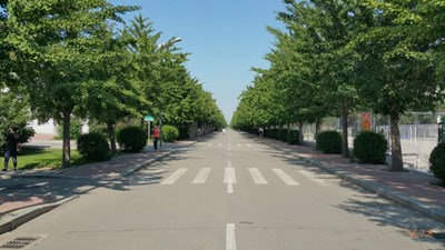 【戀之風(fēng)景】我的大學(xué)我的愛