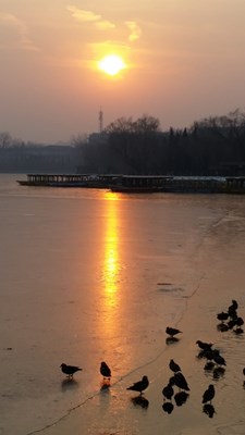 【戀之風(fēng)景】晚霞