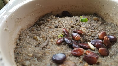 【戀之風(fēng)景】看見生命。