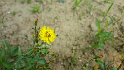 【戀之風(fēng)景】平凡的路上，平凡的我和Ta