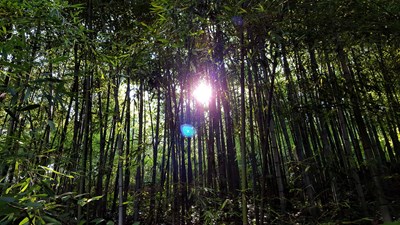 【戀之風景】湖北三潭1