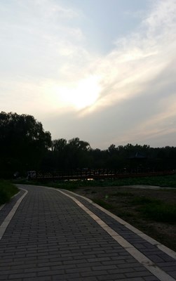 【戀之風景】秋日的黃昏