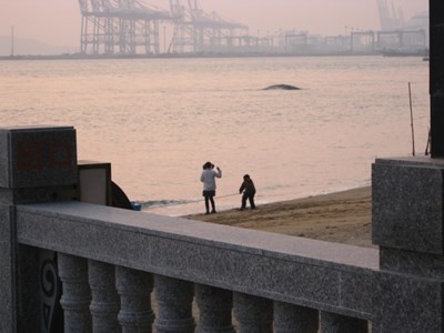 【戀之風景】童趣