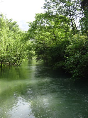 【美麗的ta】沒有污染景區(qū)