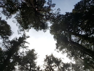 S6隨手拍 四川黃龍