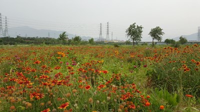 【美麗的Ta】 勞動(dòng)者