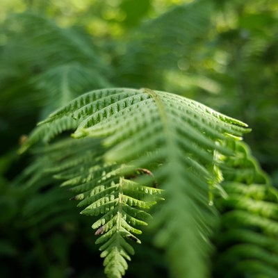 帶著S6+去三江景區(qū)