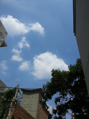 大片大片的棉花糖