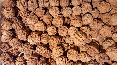 S6 edge +西安旅游隨街拍