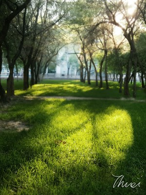 Note 5拍出插畫級(jí)美圖