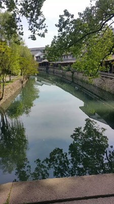 Note 4隨意拍
