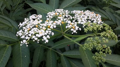 留心生活中隨處可見的美麗