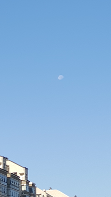 來張?jiān)铝恋那逦髨D