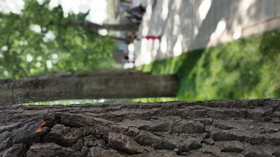 秋天真的來了，感覺涼涼的。