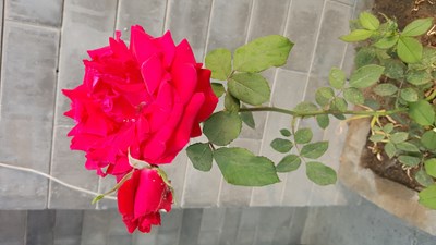 感謝我一路遇見的你們