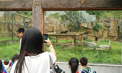  #美女與“野獸”的合影# 放膽來(lái)