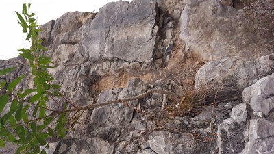 #即使再困難，我也要堅強地活著！#放膽來