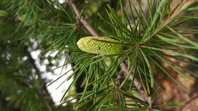 #碩果累累，不一樣的喜悅#放膽來