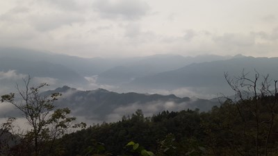 #和你的朋友放膽玩對(duì)戰(zhàn)#放膽來(lái)（風(fēng)景拍）