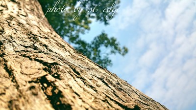 Galaxy S6 Edge 隨拍