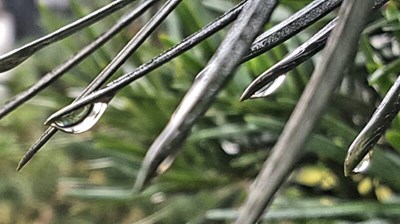 忙壞的生活，偶爾也要停下來看看～