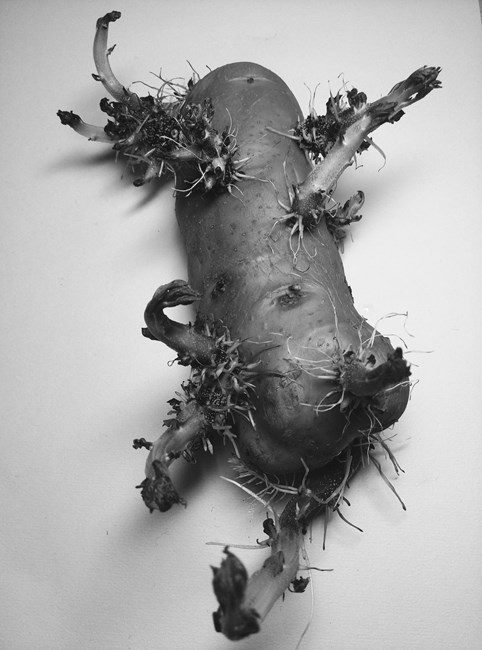 undefined 2014-01-18 11.55.22 1.jpg