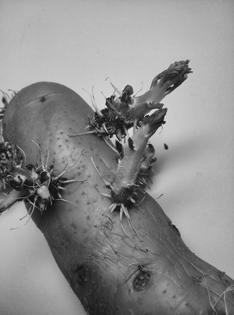 2014-01-18 11.55.28 1.jpg