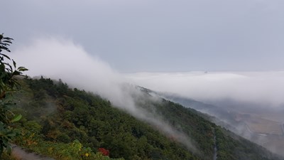 惠山晨霧