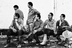 鋼筋水泥的*叢林