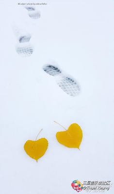 近期大片賞 第三期