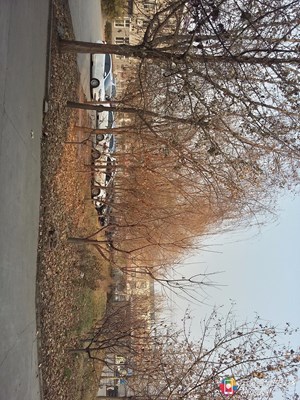 四季交替，百變天氣