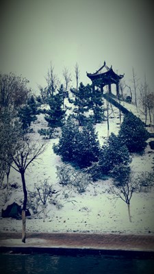 【隆冬百態(tài)】+淄博+稷下初雪