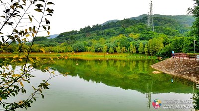 【隆冬百態(tài)】+深圳+鳳凰山公園