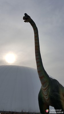 【隆冬百態(tài)】+北京+勇闖侏羅紀(jì)下