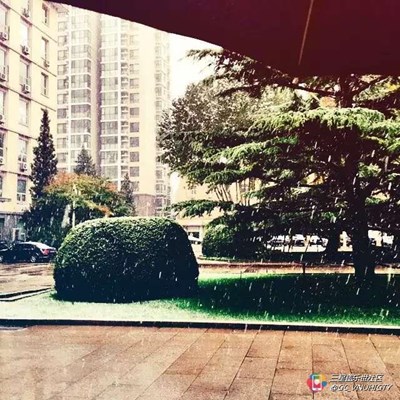 【隆冬百態(tài)】+北京+我的小雨傘