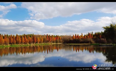【隆冬百態(tài)】+昆明+冬天是彩色的