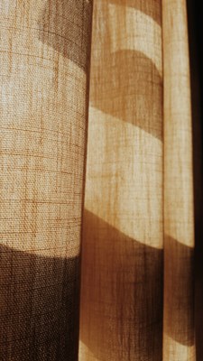 隆冬百態(tài)+海南+窗外