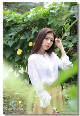 【思念不再風吹時飄了】