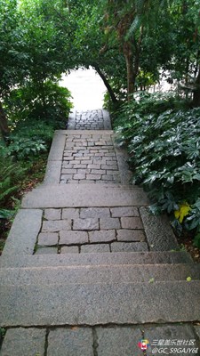 蓋樂世A8的超級(jí)像素