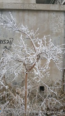 自己拍的試試像素