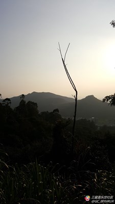 夕陽無限好…