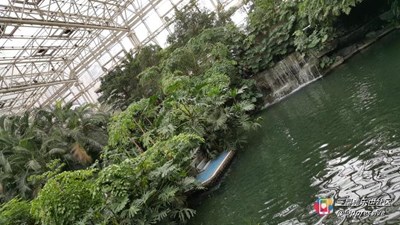 【隆冬百態(tài)】+石家莊+寒冬中的空中花園