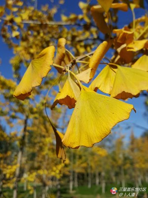 注冊成功，發(fā)點大e拍的照片試試。