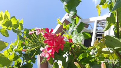 圣誕和元旦連休的泰國游記，Day2-part1，Massage之行